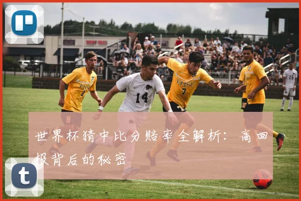 世界杯猜中比分赔率全解析:高回报背后的秘密