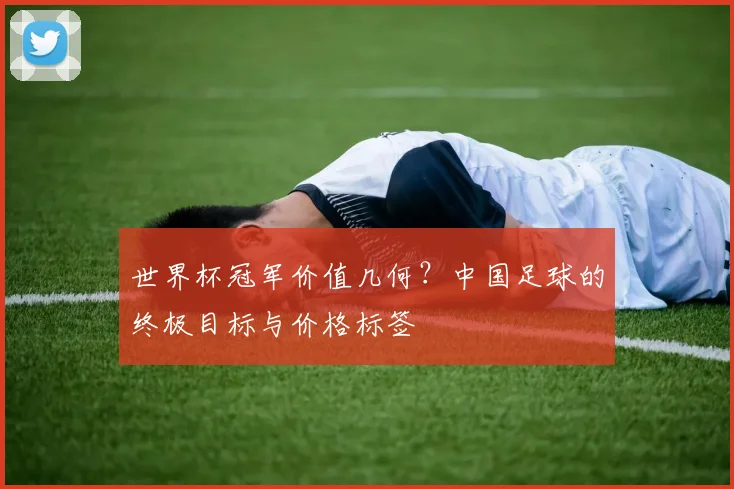世界杯冠军价值几何?中国足球的终极目标与价格标签