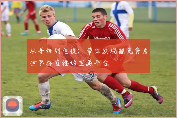 从手机到电视:带你发现能免费看世界杯直播的宝藏平台
