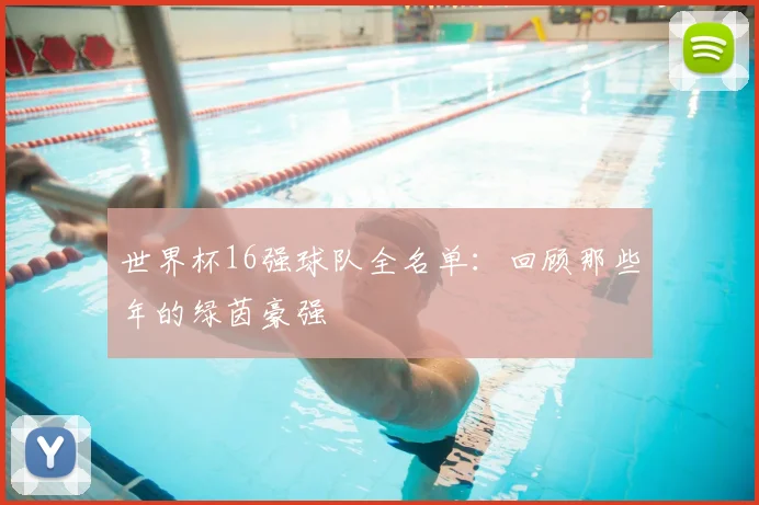 世界杯16强球队全名单:回顾那些年的绿茵豪强