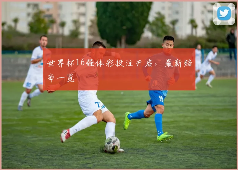 世界杯16强体彩投注开启,最新赔率一览