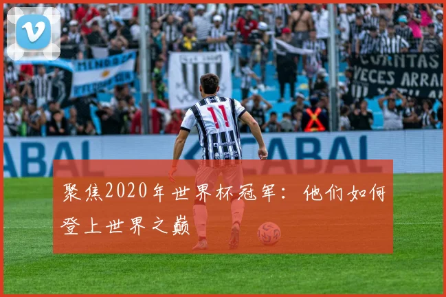 聚焦2020年世界杯冠军:他们如何登上世界之巅