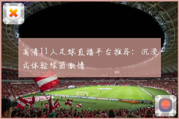 高清11人足球直播平台推荐：沉浸式体验绿茵激情
